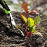 Set 5 unelte de gradina de inalta calitate cu manere din silicon, model AVX-WT-GDNTOL - imagine 4